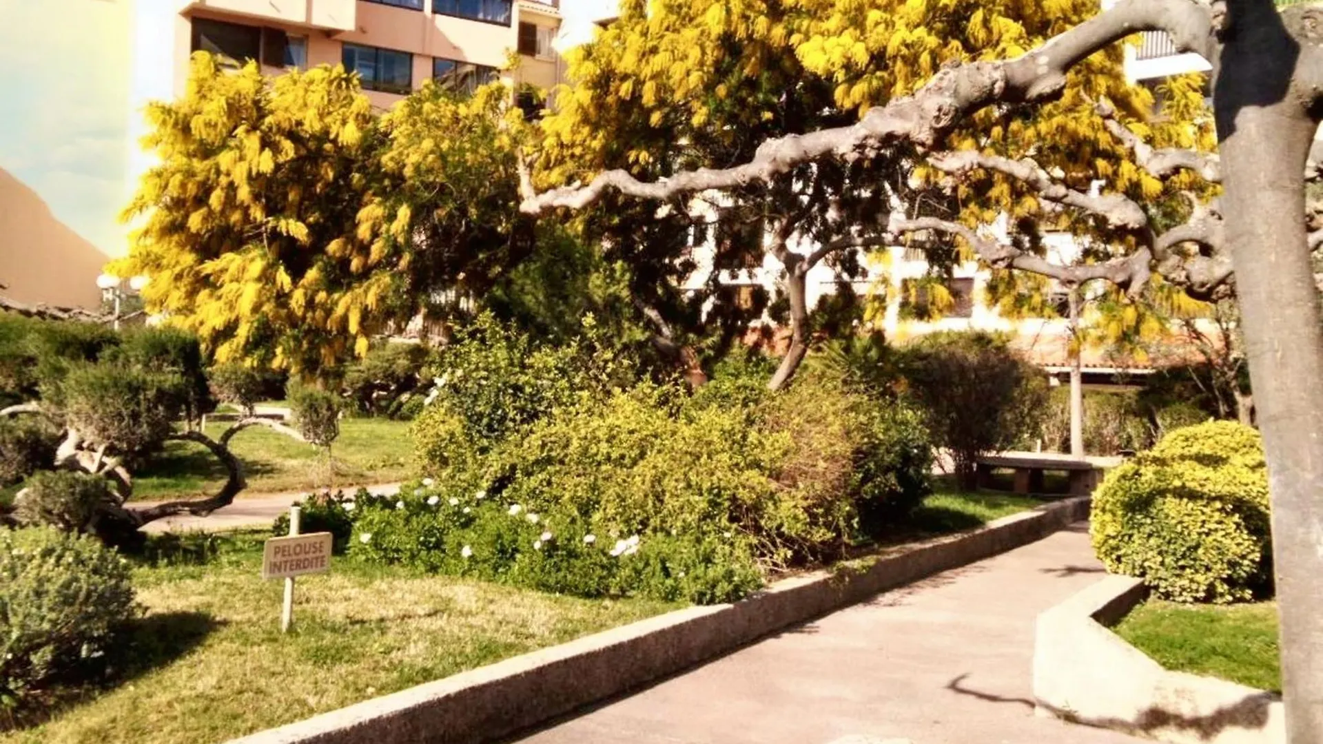 Studio Accueillant Au Coeur De Frejus 25 M² Piscine Partagee Lägenhet